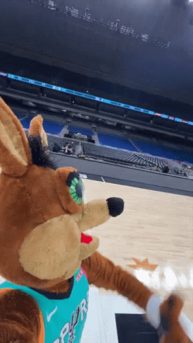 Stuffed Animal in Spurs Jersey on Basketball Court