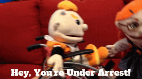 Stuffed Animal In Wheelchair Held By Another With Hey Youre Under Arrest GIF