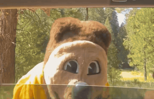 Stuffed Animal In Yellow Shirt Looking Out Car Window GIF