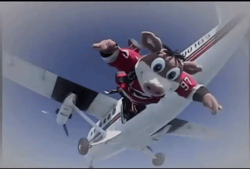 Stuffed Animal Jumping Out of Plane Number 76