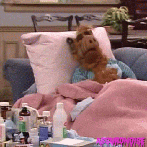 Stuffed Animal Laying On Couch With Pink Blanket And Pillow GIF