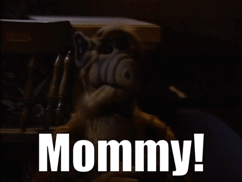 Stuffed Animal Mommy