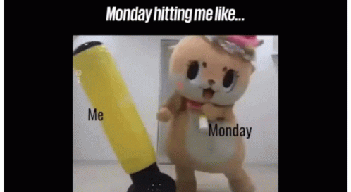 Stuffed Animal Monday Hitting Me Like ... Me Monday