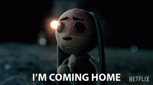 Stuffed Animal Saying Im Coming Home