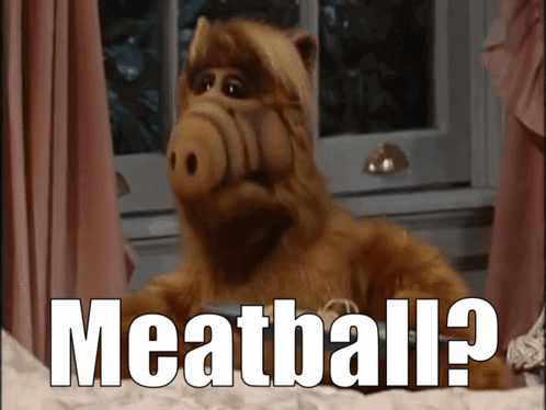 Stuffed Animal Saying Meatball on Bed
