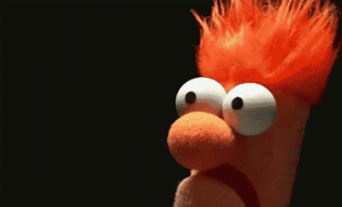 Stuffed Animal Saying Meep Meep
