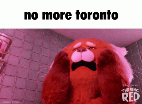 Stuffed Animal Saying No More Toronto