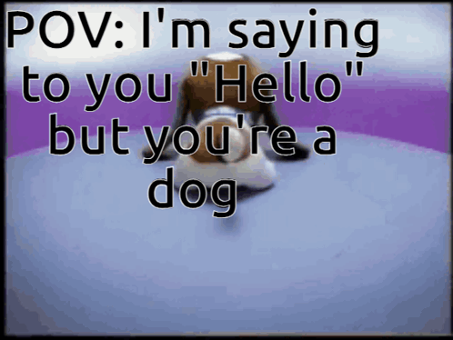 Stuffed Animal Saying Pov I M Saying To You GIF