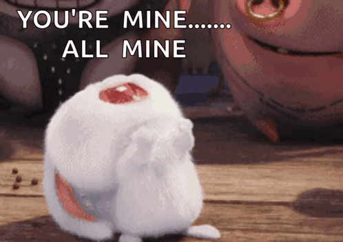 Stuffed Animal Says You're Mine All Mine in Front of Pig
