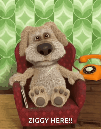 Stuffed Animal Sitting In Chair Ziggy Here GIF
