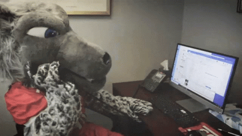 Stuffed Animal Sitting in Front of Computer