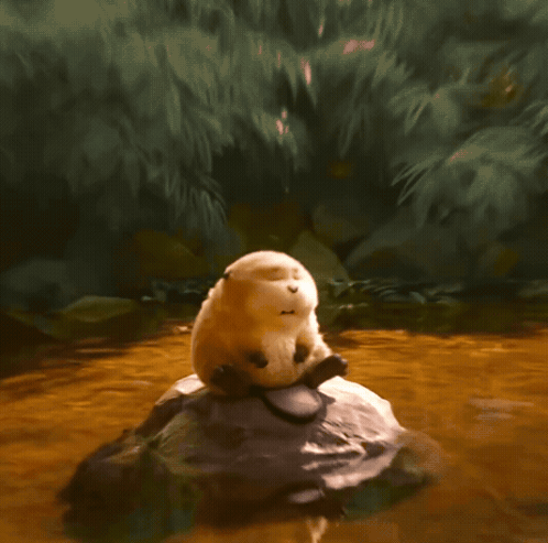 Stuffed Animal Sitting on Rock