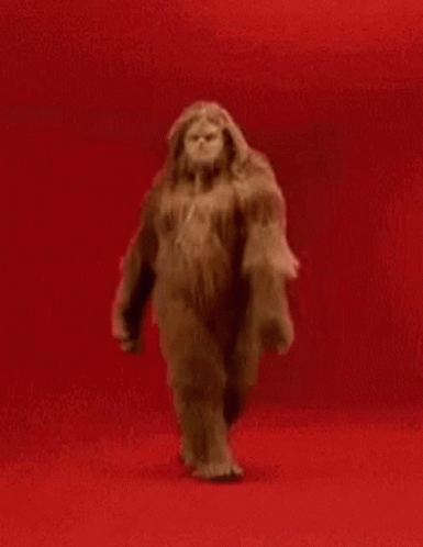 Stuffed Animal Walking