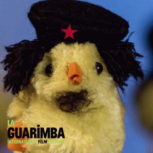 Stuffed Animal Wearing Black Hat With Red Star Guarimba International Film Festival GIF