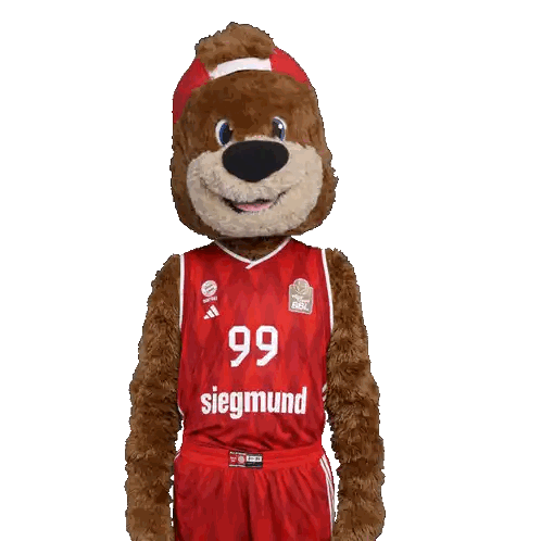 Stuffed Animal Wearing Red Jersey 99