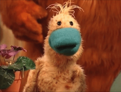 Stuffed Animal With Blue Sock On Nose GIF