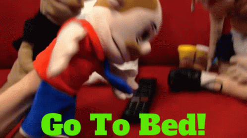 Stuffed Animal With Go To Bed