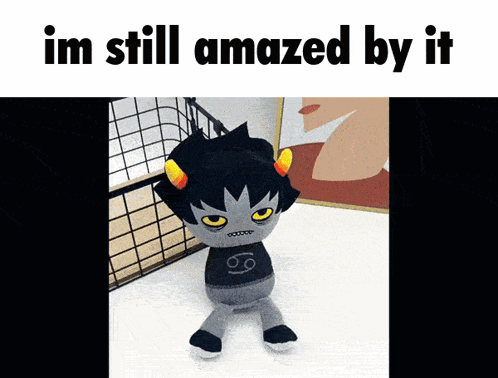 Stuffed Animal with Im Still Amazed By It