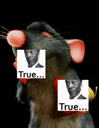 Stuffed Animal With Picture of Man Saying True