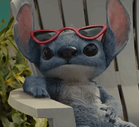 Stuffed Animal With Red Sunglasses On Chair GIF