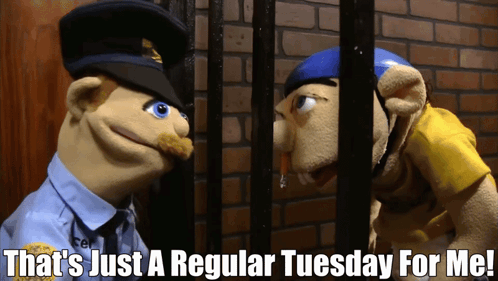 Stuffed Animals Behind Bars Saying Regular Tuesday GIF