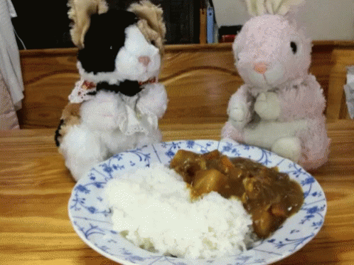 Stuffed Animals Next to Rice and Curry