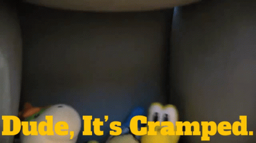 Stuffed Animals Saying Dude It's Cramped