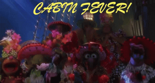 Stuffed Animals With Cabin Fever