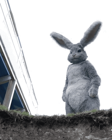 Stuffed Bunny Standing On Dirt Hill GIF