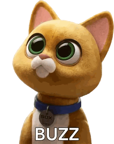 Stuffed Cat With Buzz Written