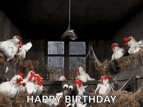Stuffed Chickens Sitting On Hay GIF