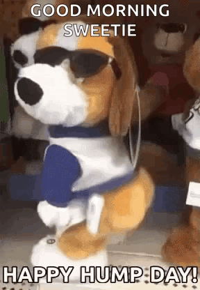 Stuffed Dog Dancing Sunglasses Headphones Good Morning Sweetie Hump Day