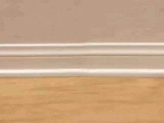 Stuffed Dog With Number 8 GIF