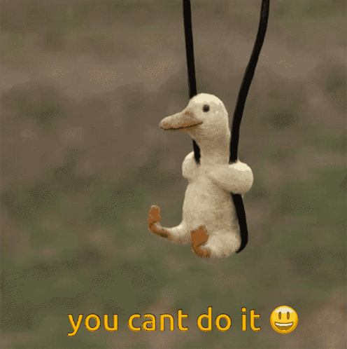Stuffed Duck Hanging From Rope Saying You Cant Do It GIF