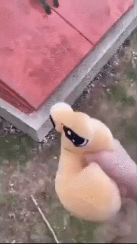 Stuffed Duck Wearing Sunglasses