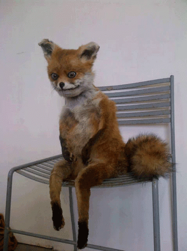 Stuffed Fox Sitting on Chair