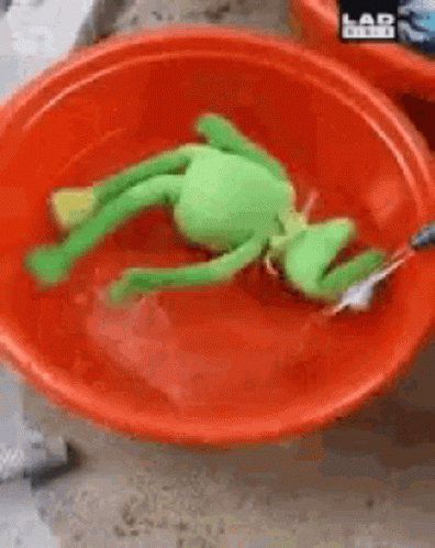 Stuffed Frog in Red Water Bowl