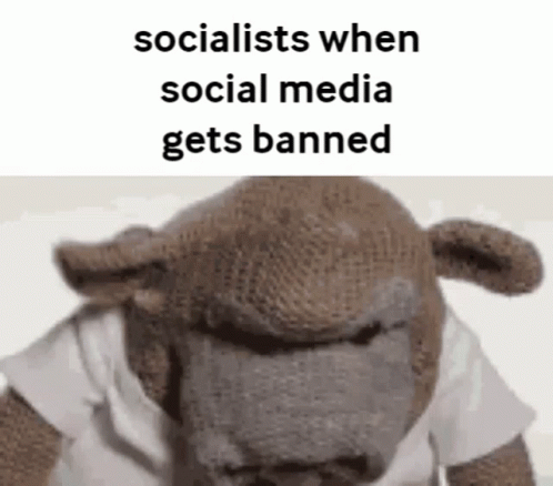 Stuffed Gorilla White Shirt Socialists When Social Media Gets Banned GIF