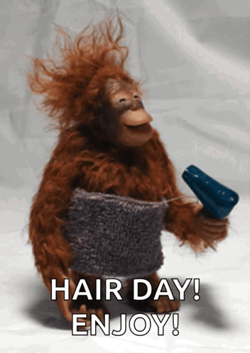 Stuffed Monkey Holding Hair Dryer and Towel