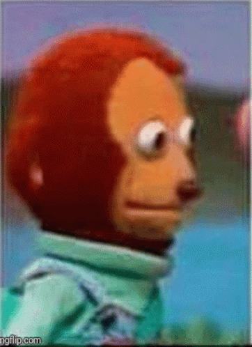 Stuffed Monkey In Green Jacket GIF