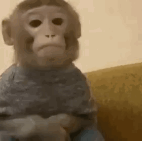 Stuffed Monkey Sitting Crossed Arms