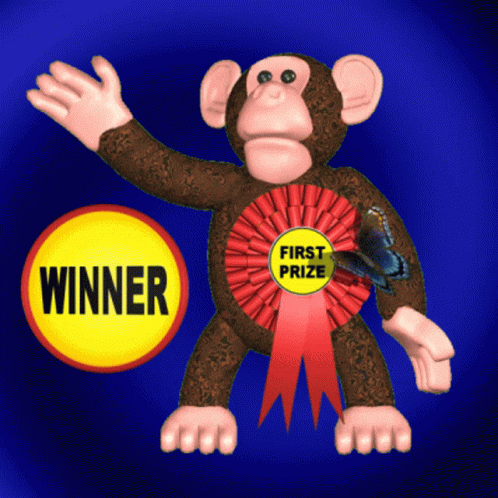 Stuffed Monkey With First Prize Ribbon