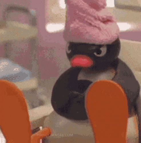 Stuffed Penguin in Pink Hat Skiing