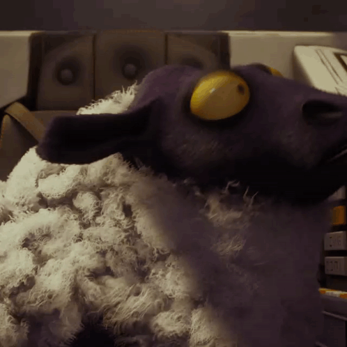 Stuffed Purple Sheep With Yellow Eyes on Counter