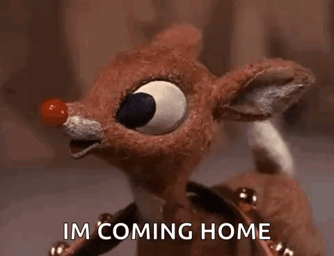 Stuffed Reindeer With Red Nose I M Coming Home