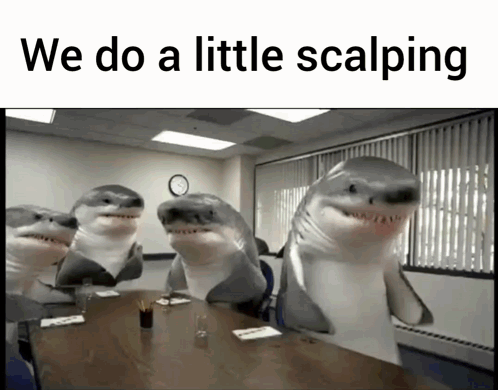 Stuffed Sharks Around Table We Do A Little Scalping GIF