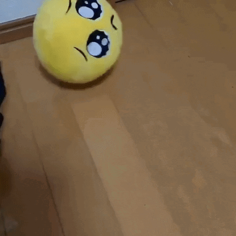 Stuffed Smiley Face Sitting GIF
