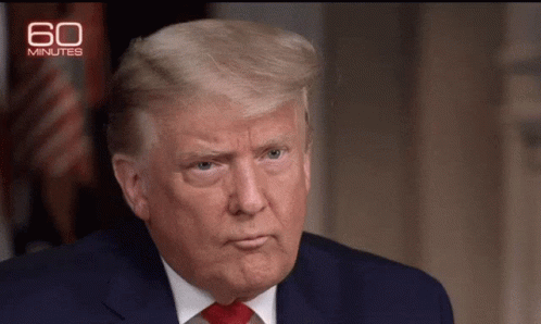Stunned President Donald Trump GIF