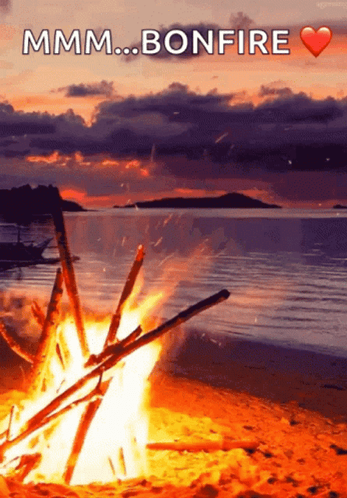 Stunning Campfire Bonfire Beach Sunset GIF