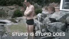 Stupid Is As Stupid Does Diving Man Fail GIF